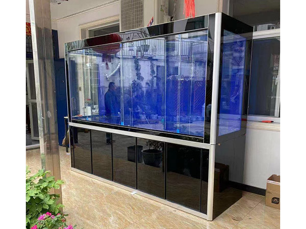 海鮮池  海鮮魚缸  酒店魚缸